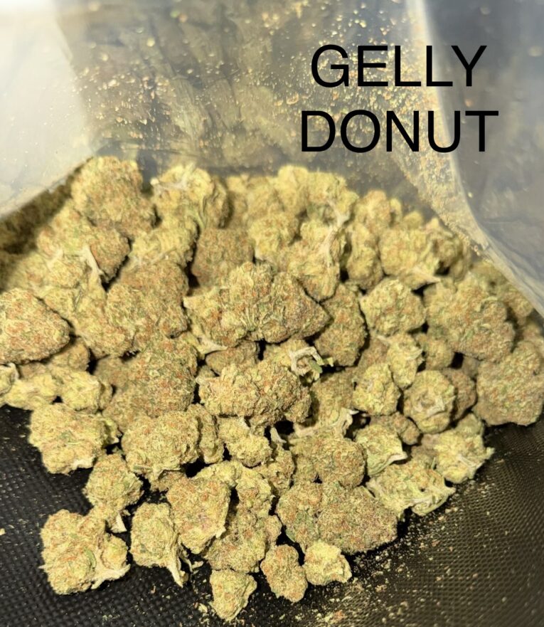 Gelly-Donut