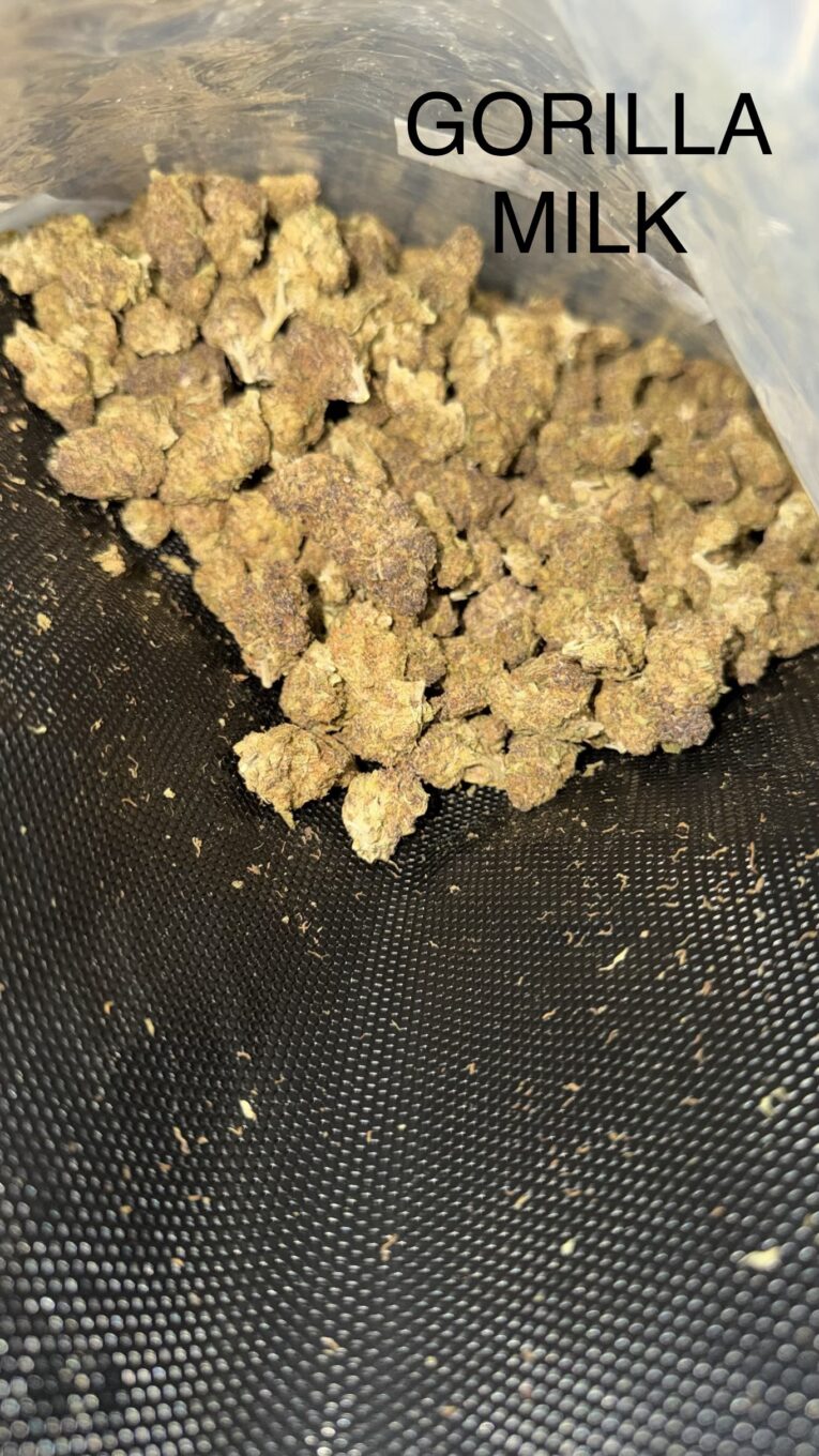 Gorilla-Milk