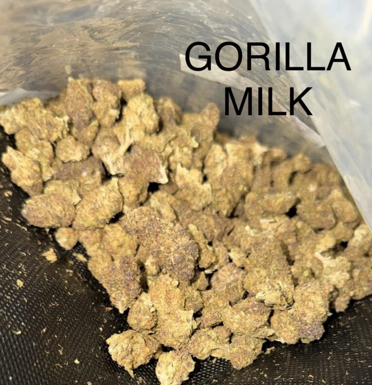 Gorilla-Milk