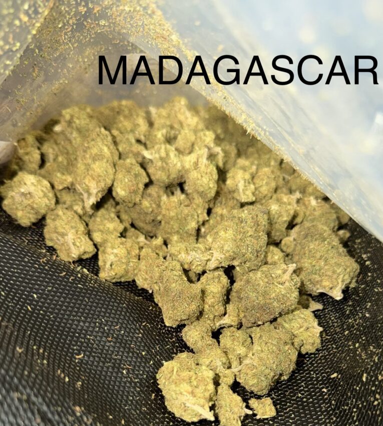 Madagascar