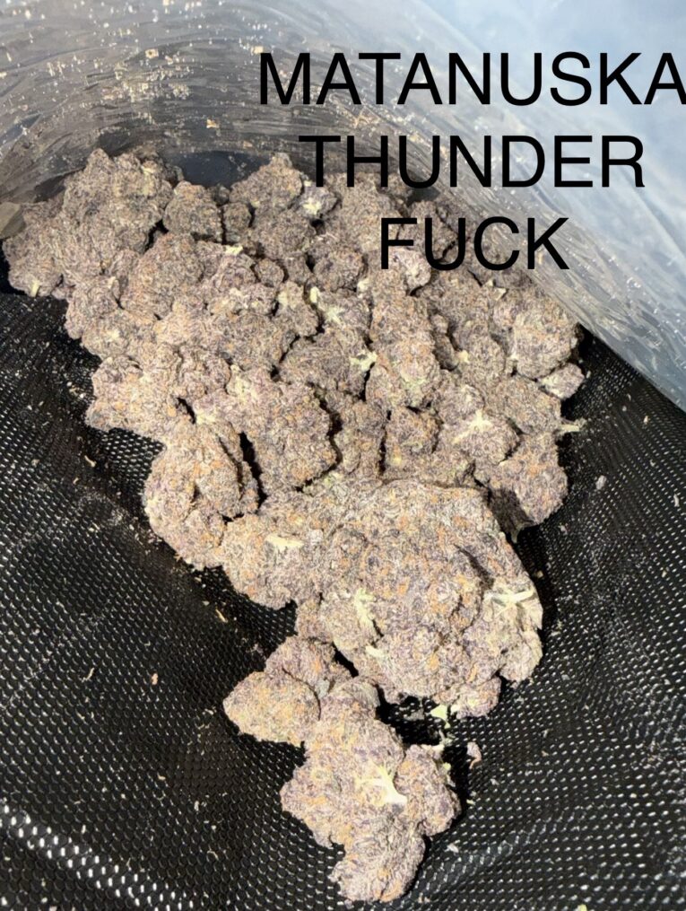 Matanuska-Thunder-Fuck