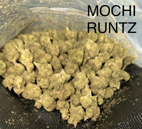 Mochi-Runtz