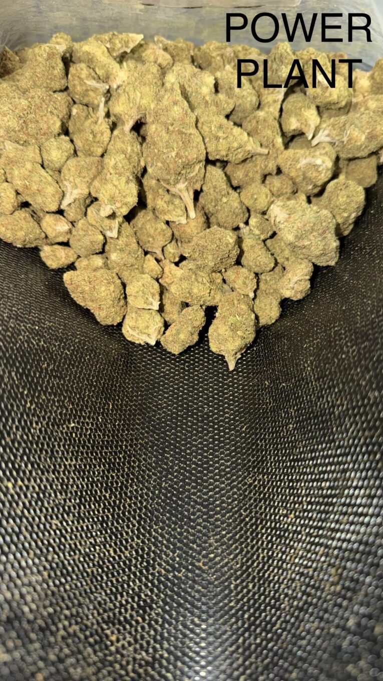 Power-Plant