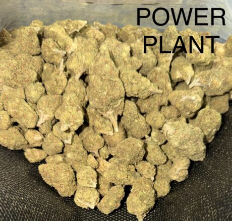 Power-Plant