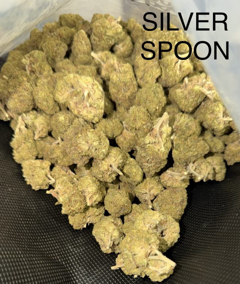 Silver-Spoon-2
