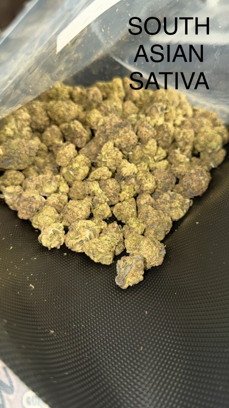 South-Asian-Sativa