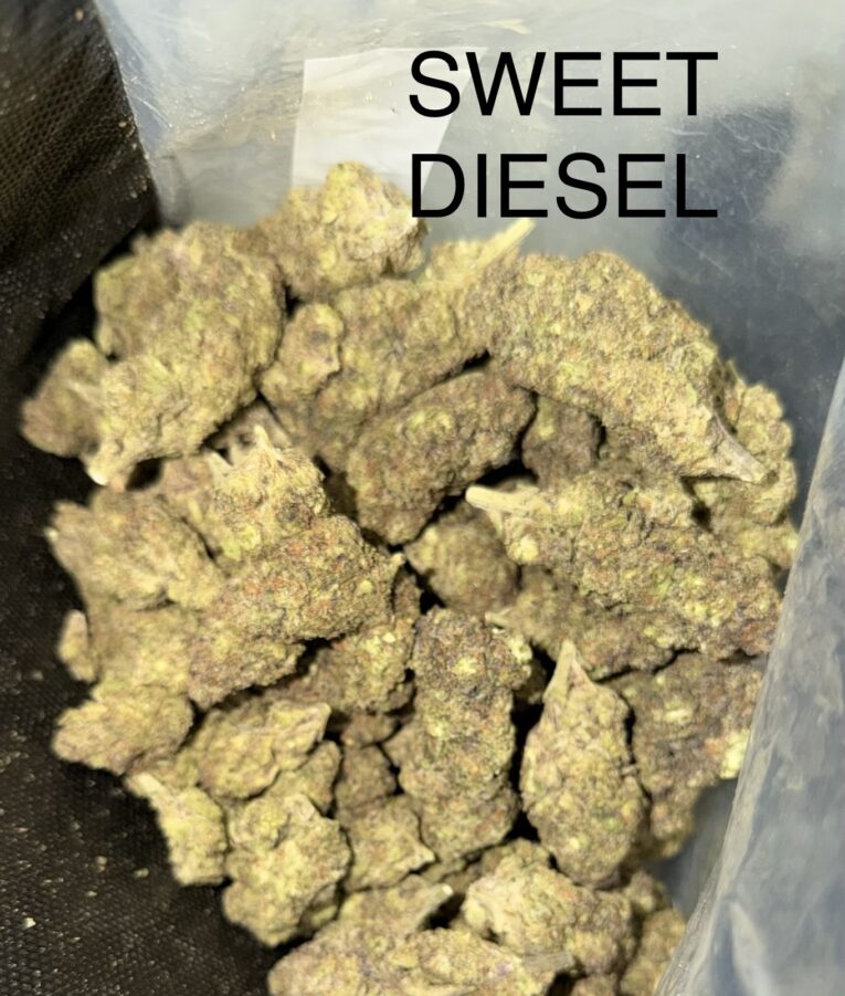 Sweet-Diesel-2