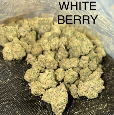 White-Berry-2