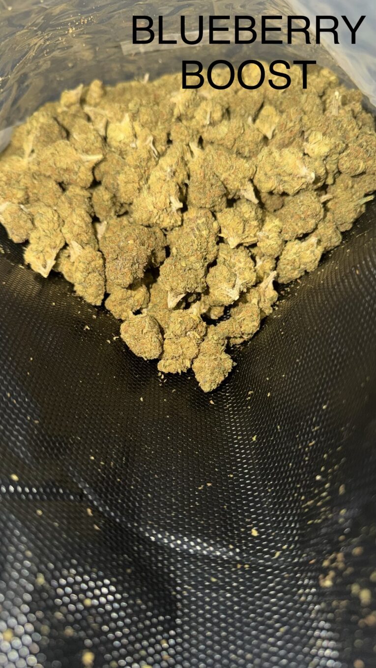 Blueberry-Boost