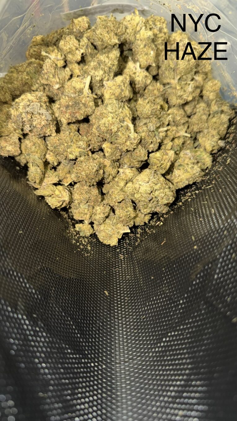 NYC-Haze-2
